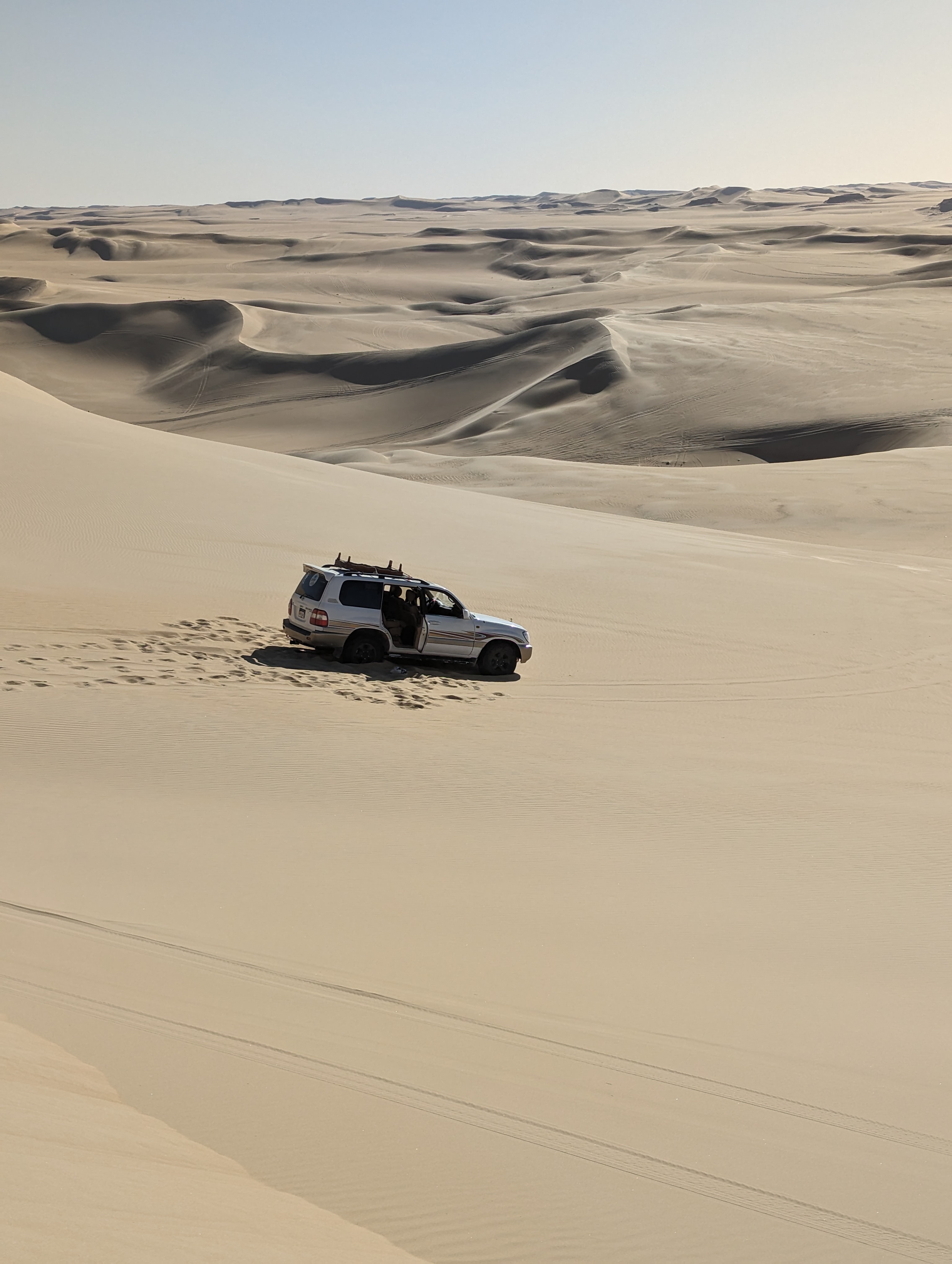 Desert Safari